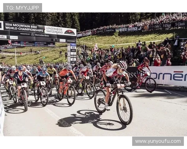 杭州足球队在世锦赛中的拼搏历程与荣耀追寻的特别报道